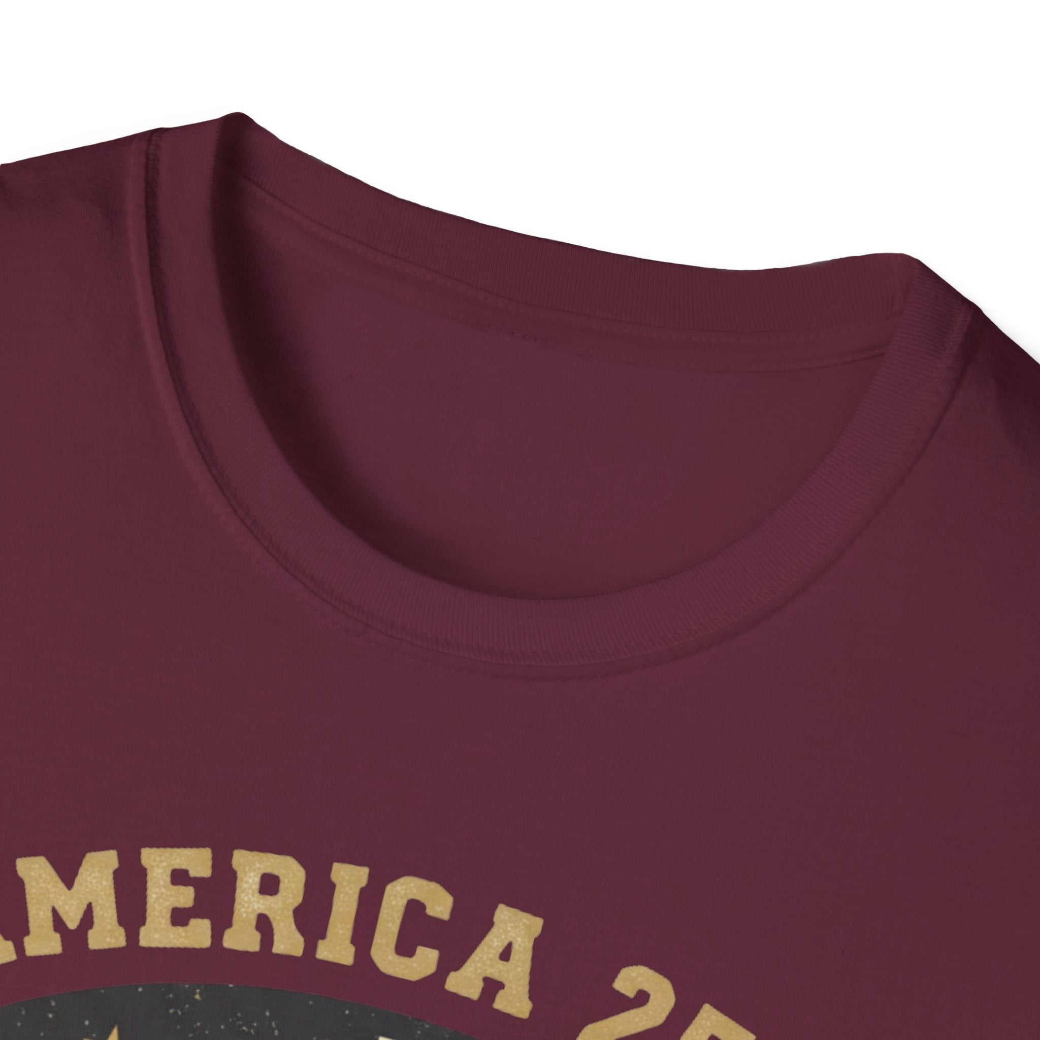 America 250 - Freemason T-Shirt
